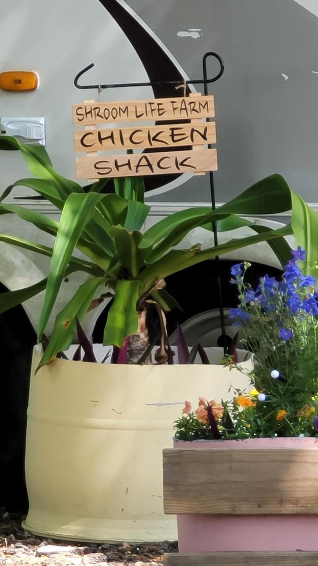 Shroom Life Farm Chicken Shack 노스 포트 마이어스 외부 사진